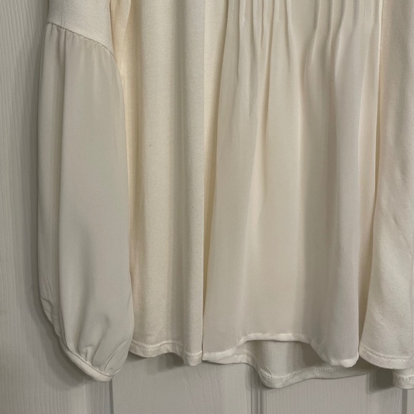 August Silk Pleated Front Blouse - Picture 6 of 12